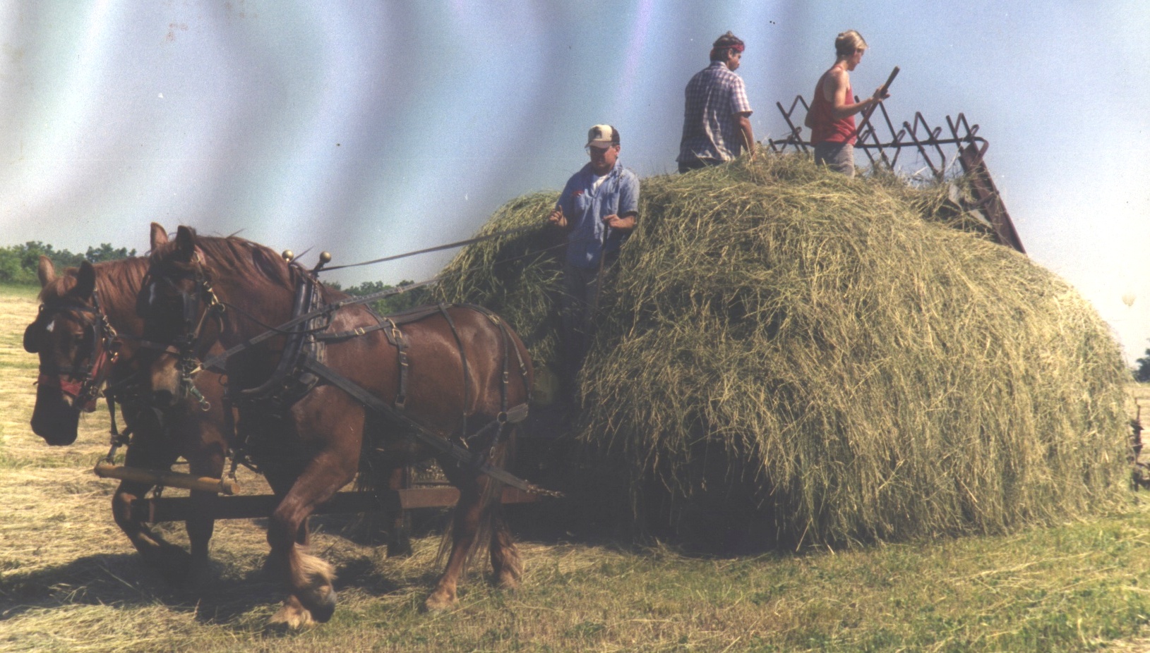 Stitch 'n Hitch Farm Harness